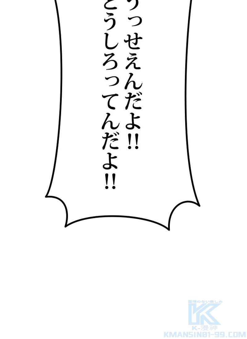 P133
