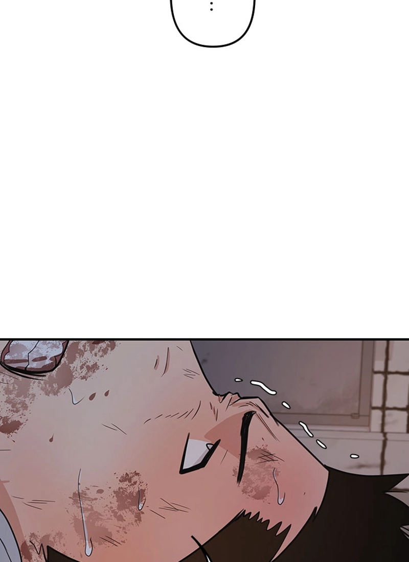 P63