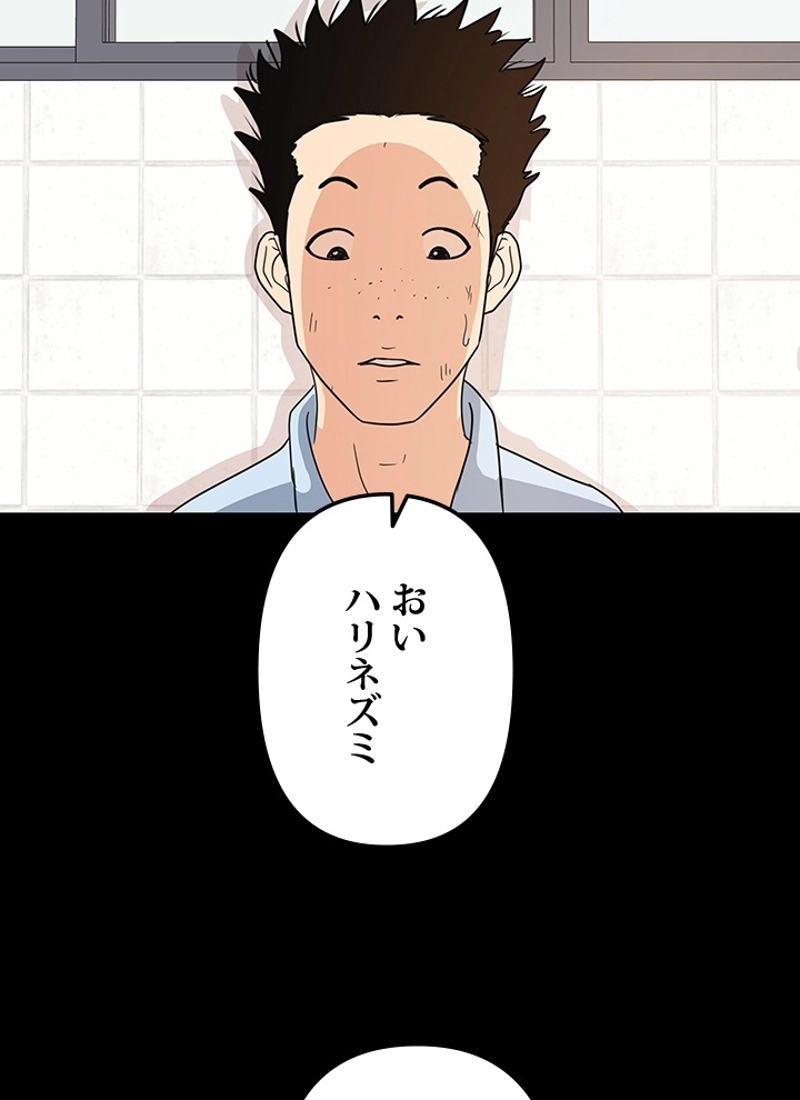 P86