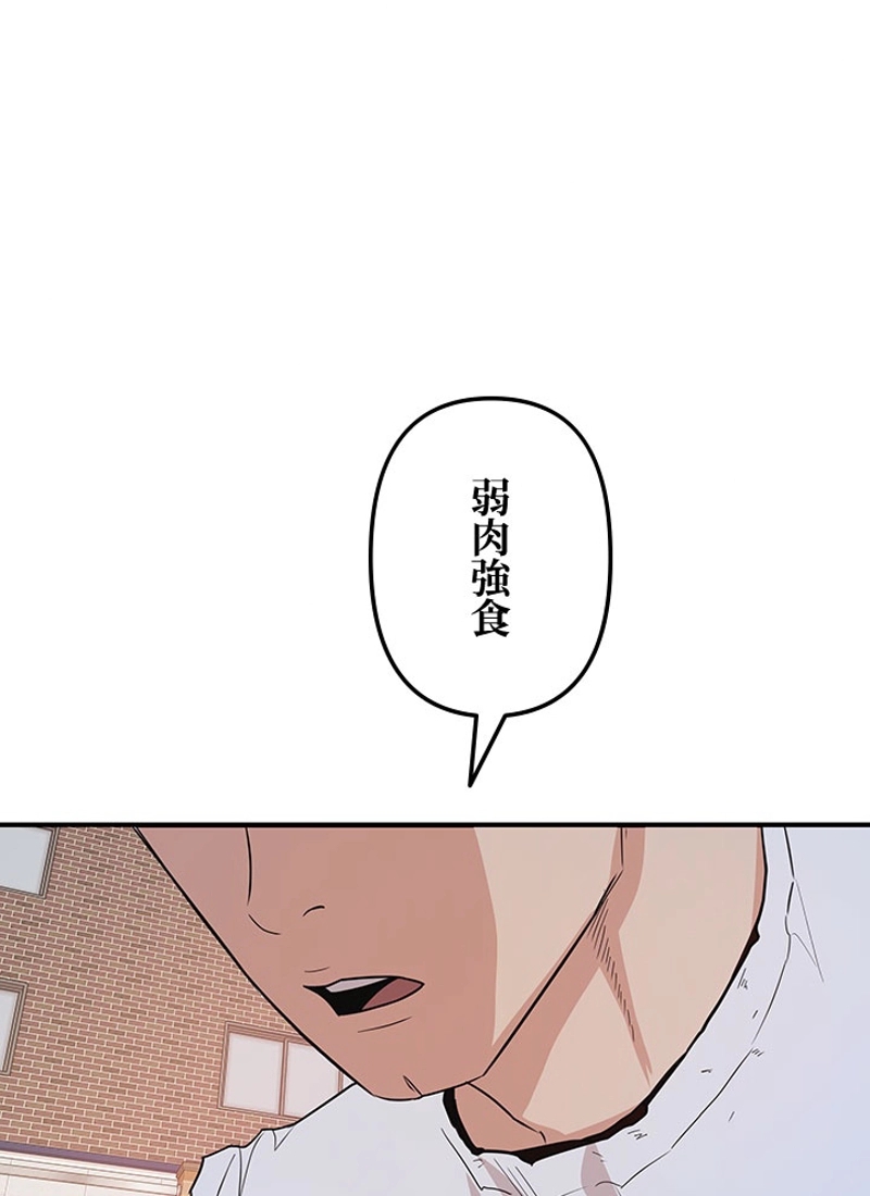 P78