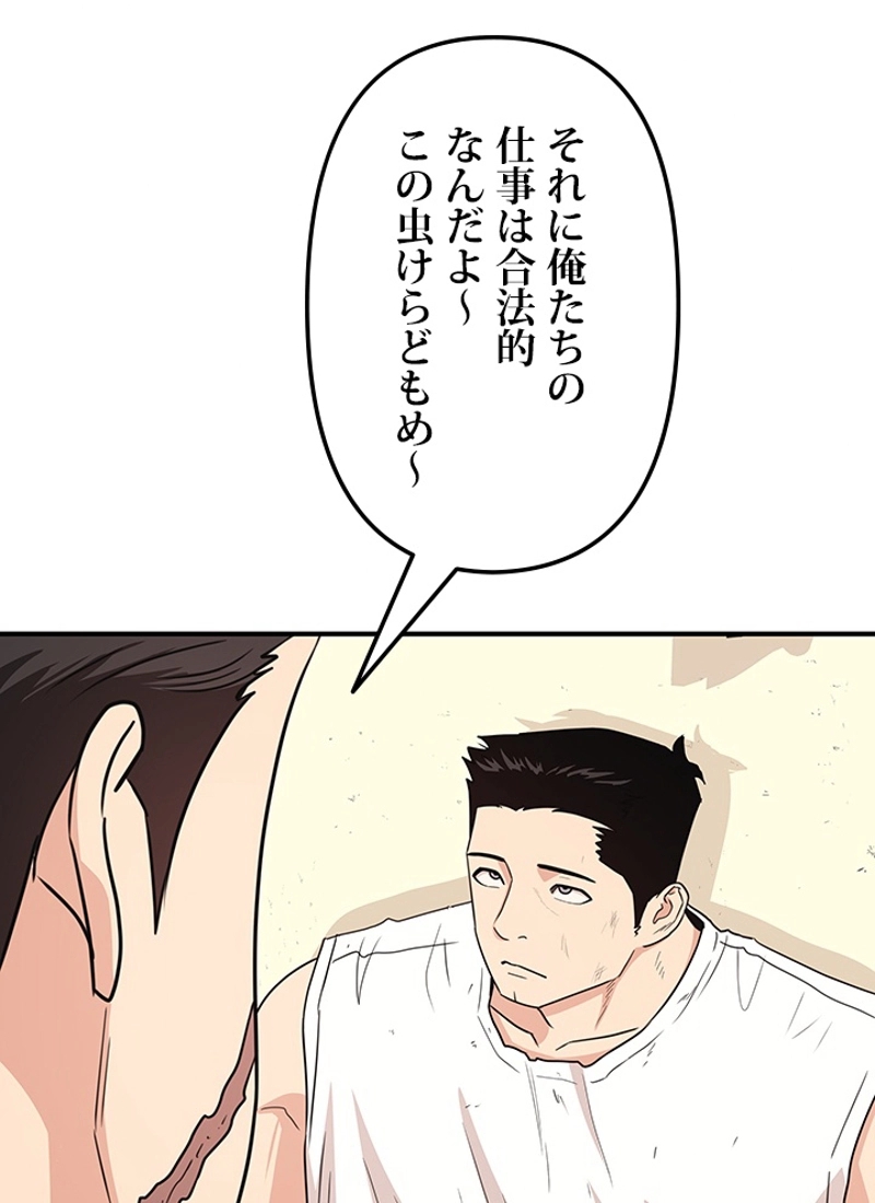 P63