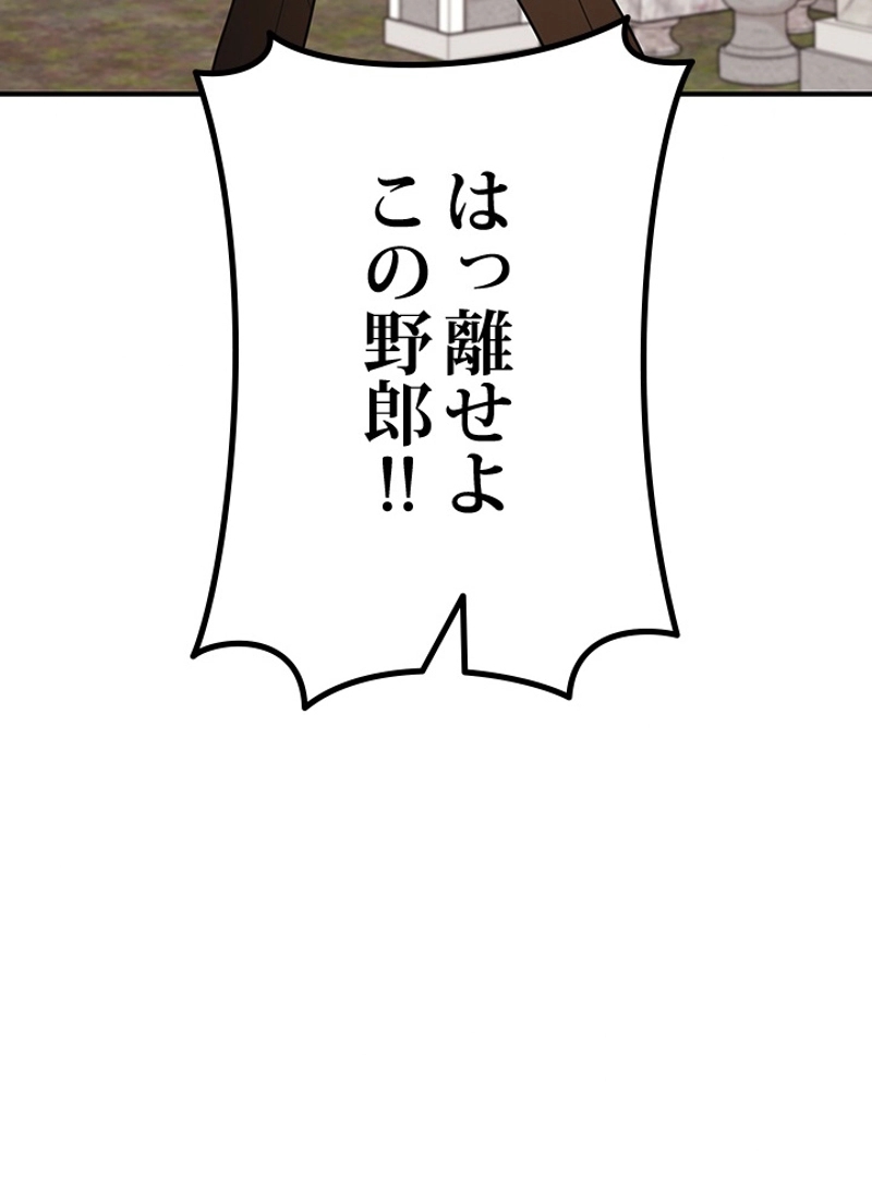 P62