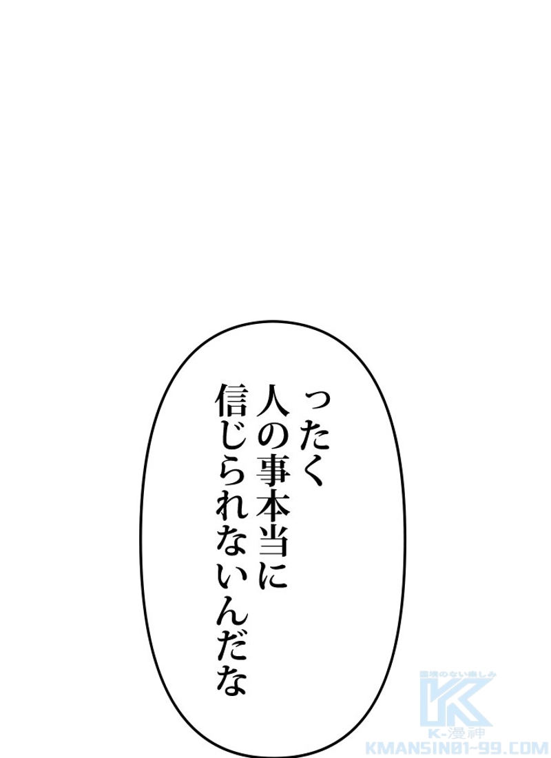 P113
