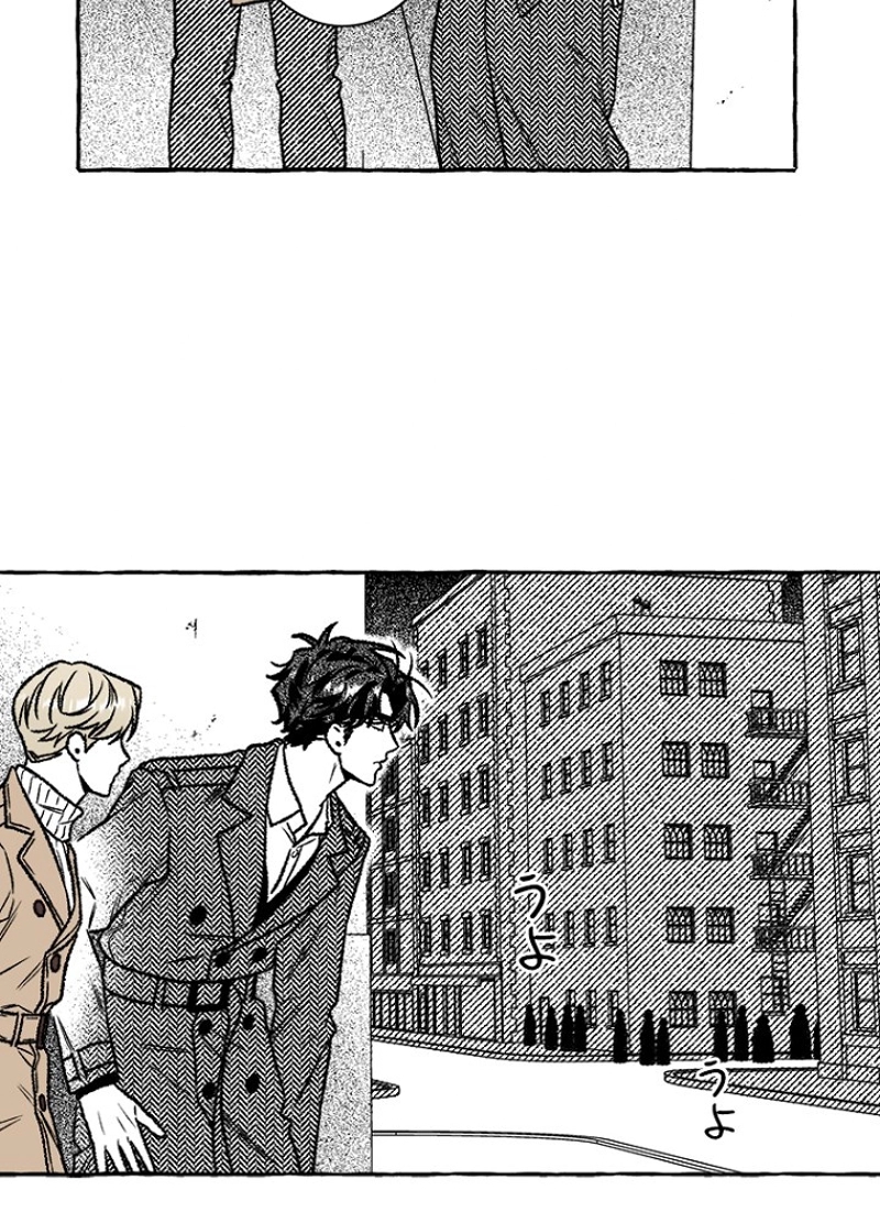 P53