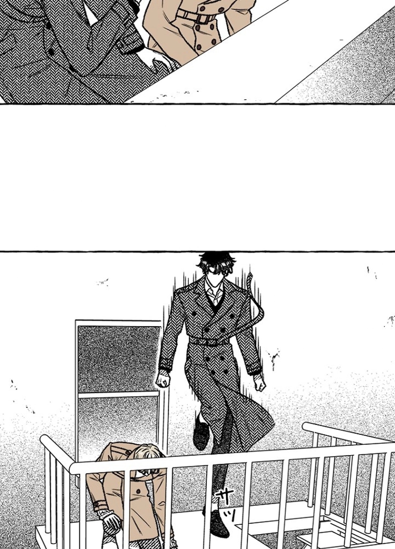 P63