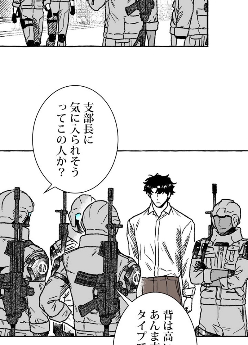 P53