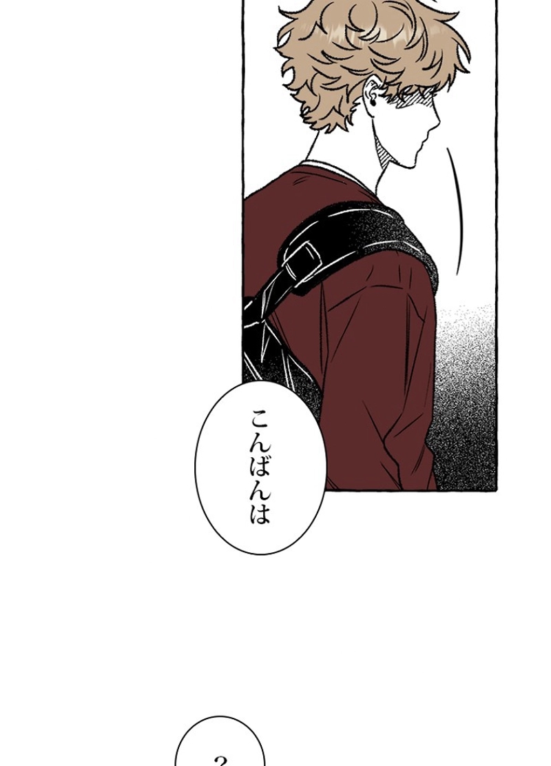 P66