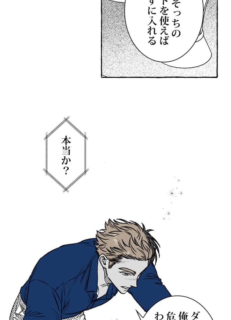 P65