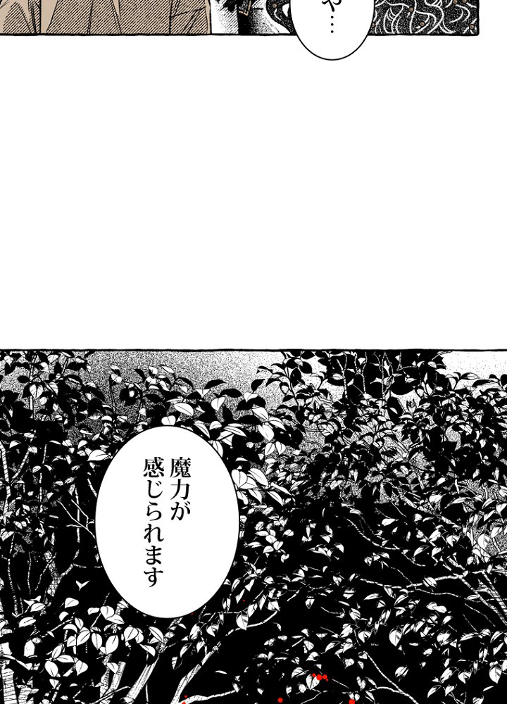 P62