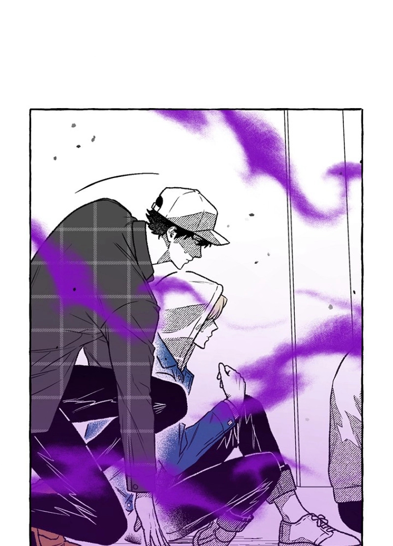 P66