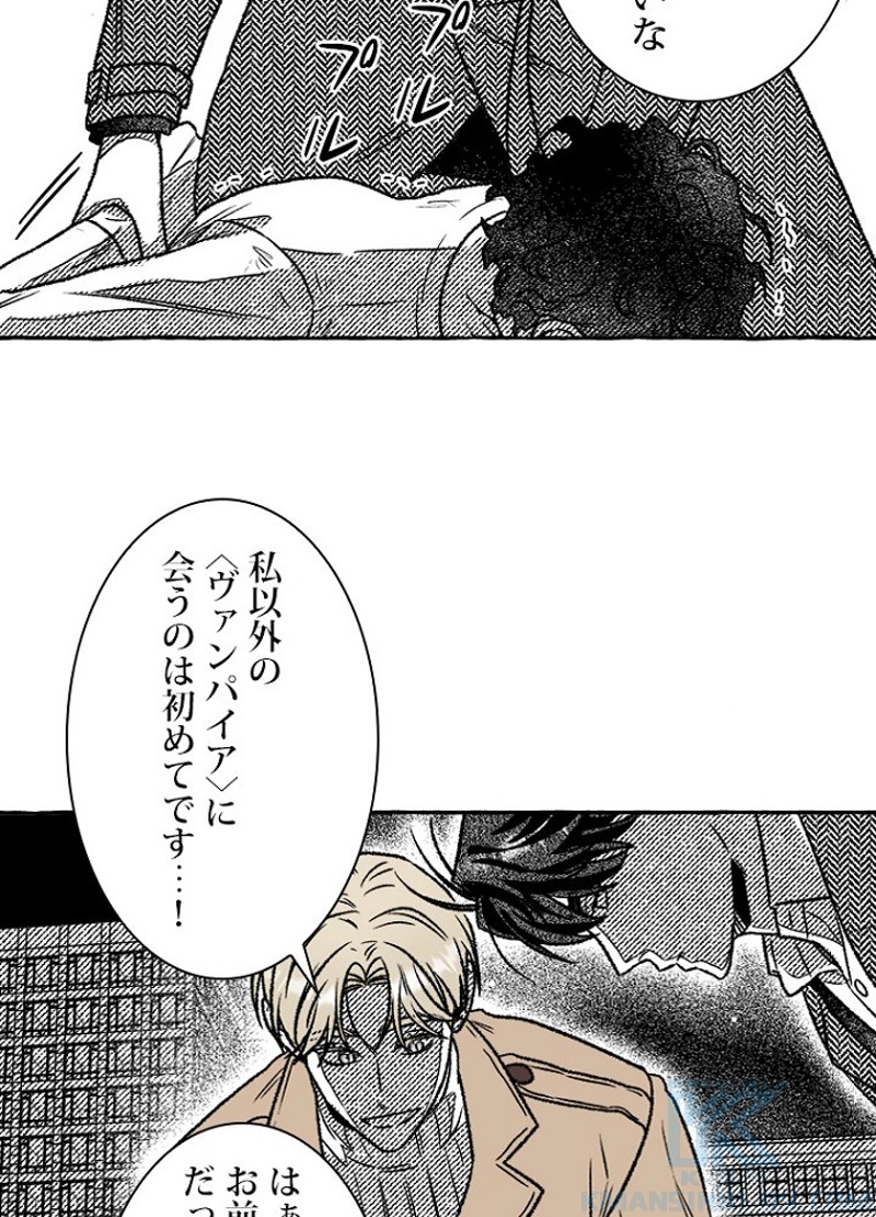 P61