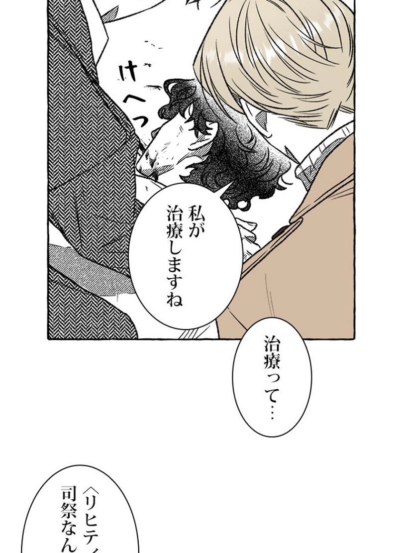 P63