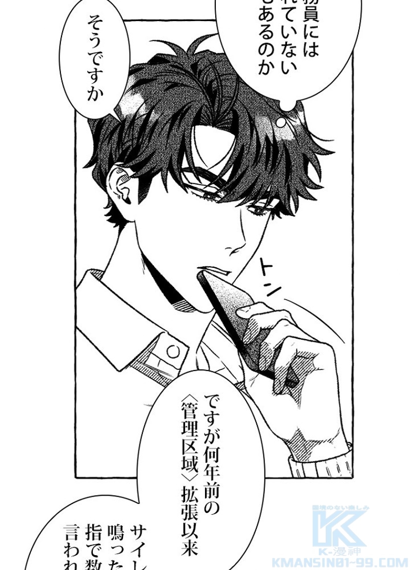 P31