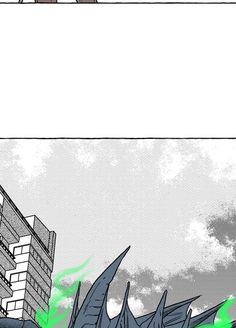 P66