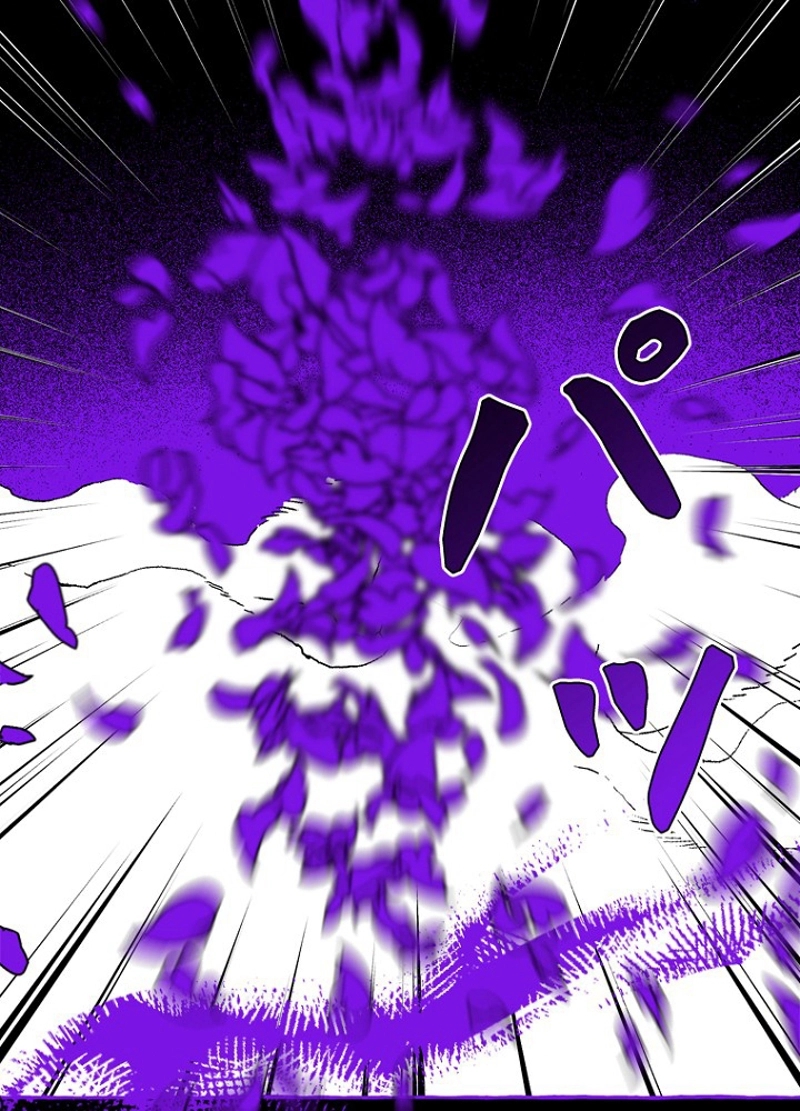 P66