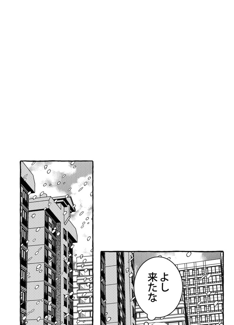 P63