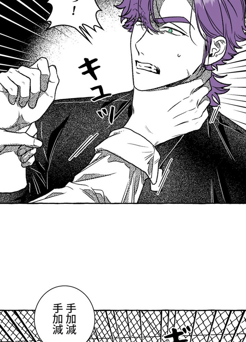 P66