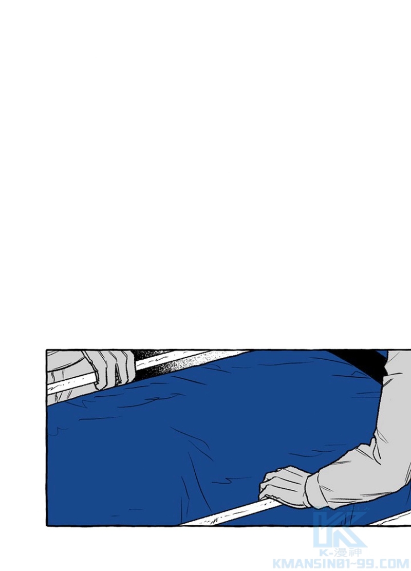 P46