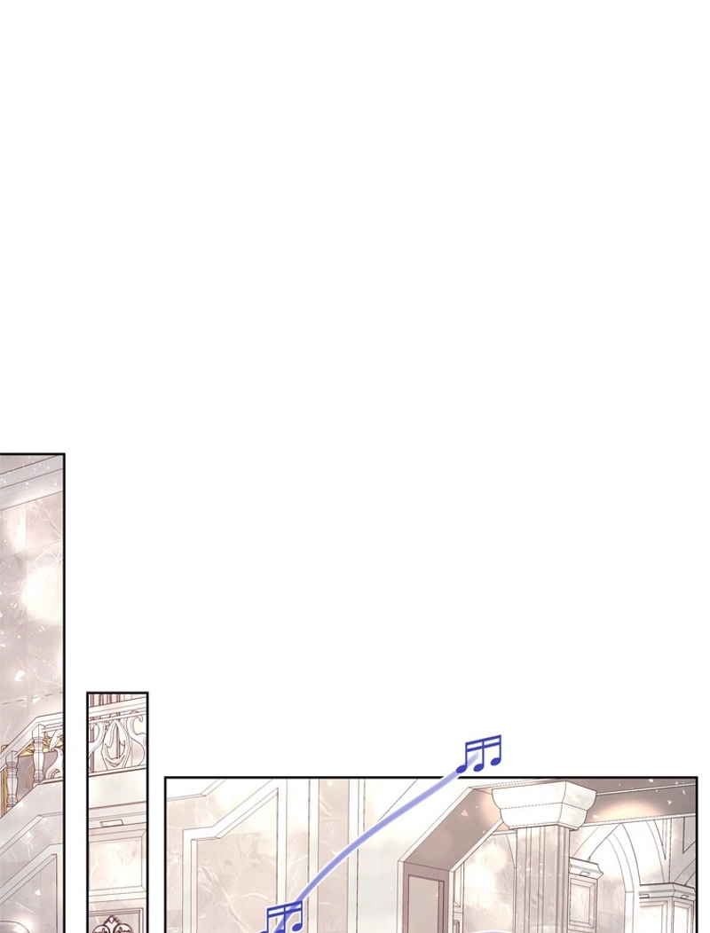 P63