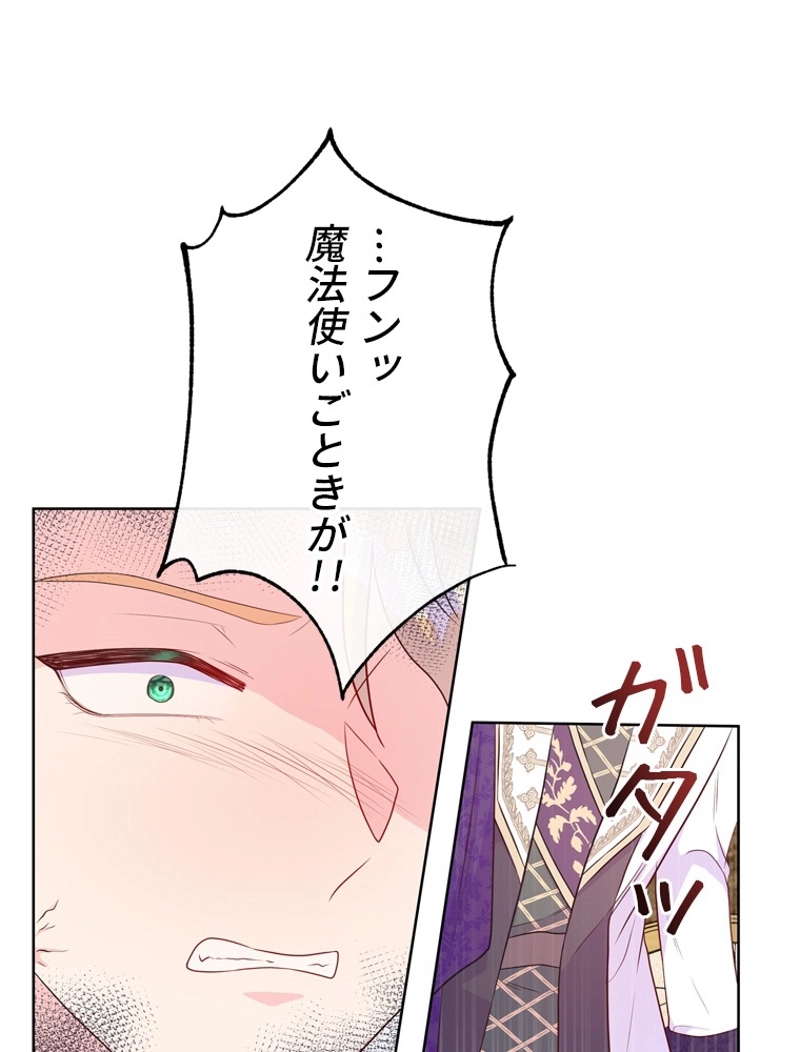 P58