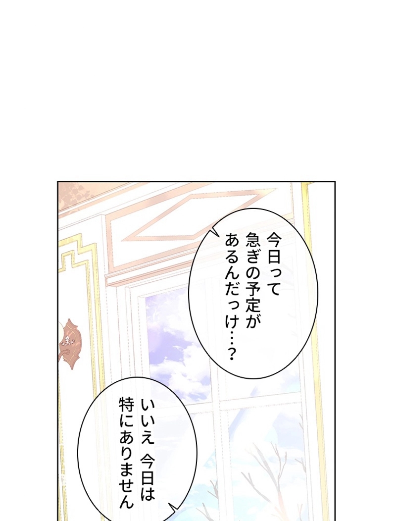 P61