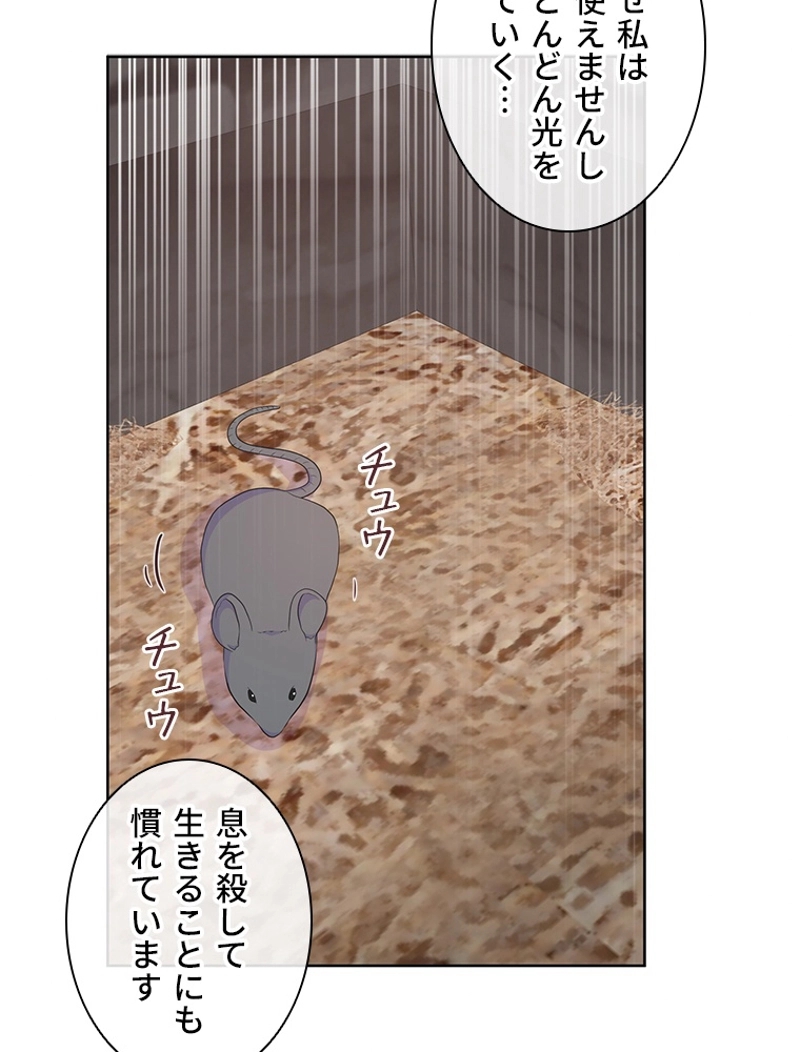 P63