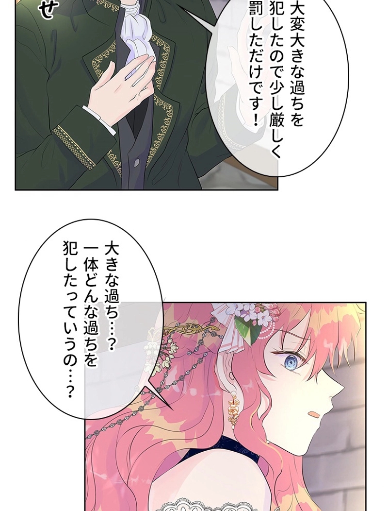 P61