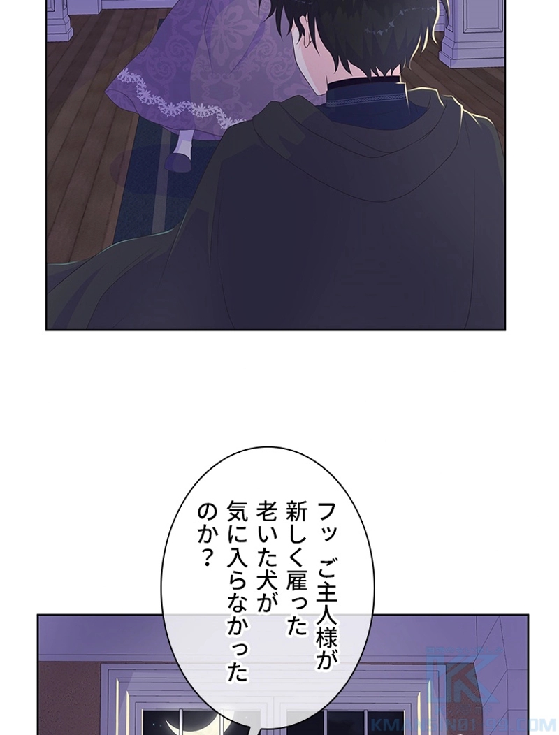 P65