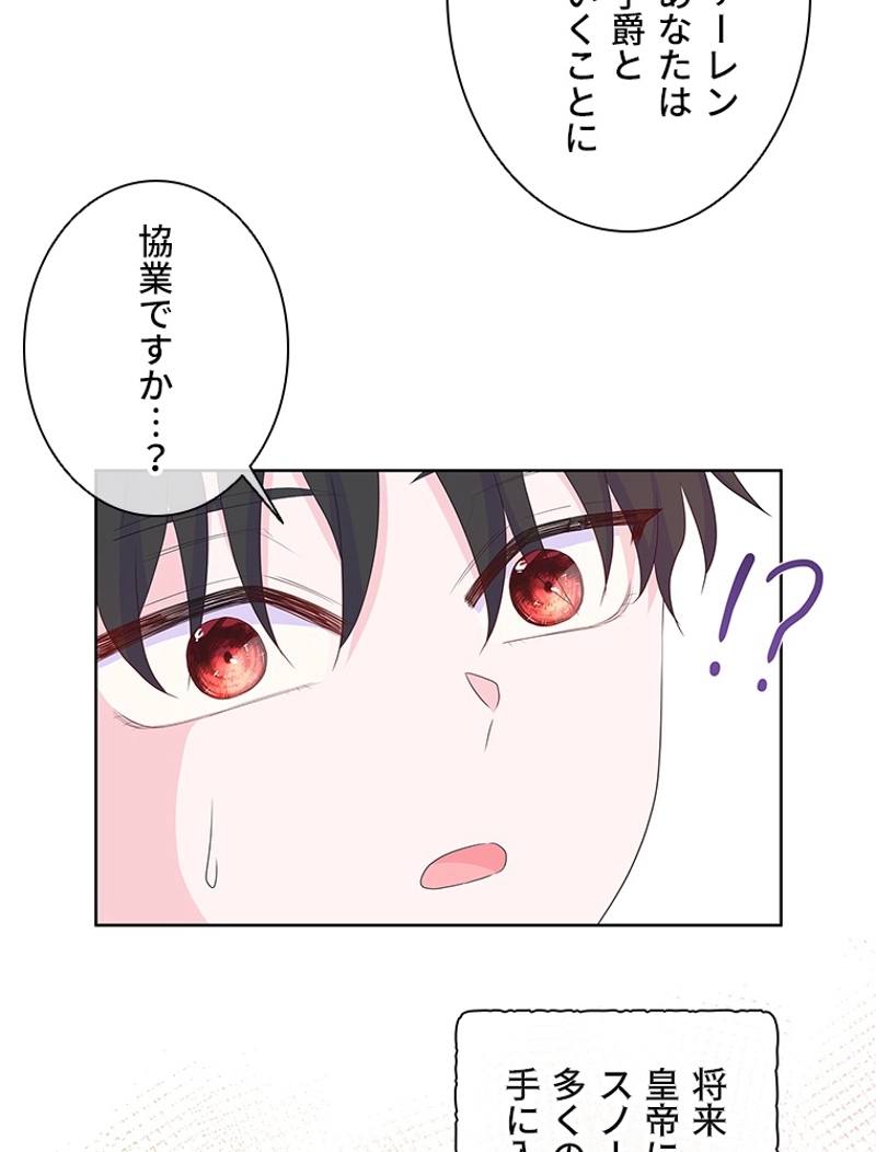 P66