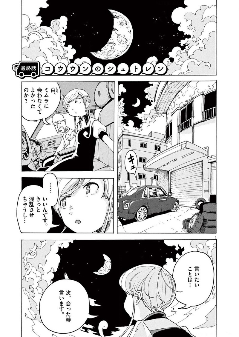 P31