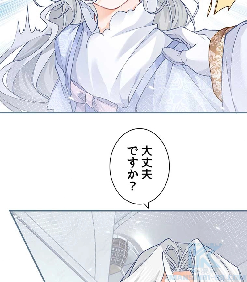 P61