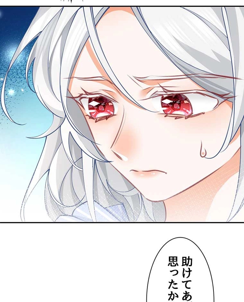 P53