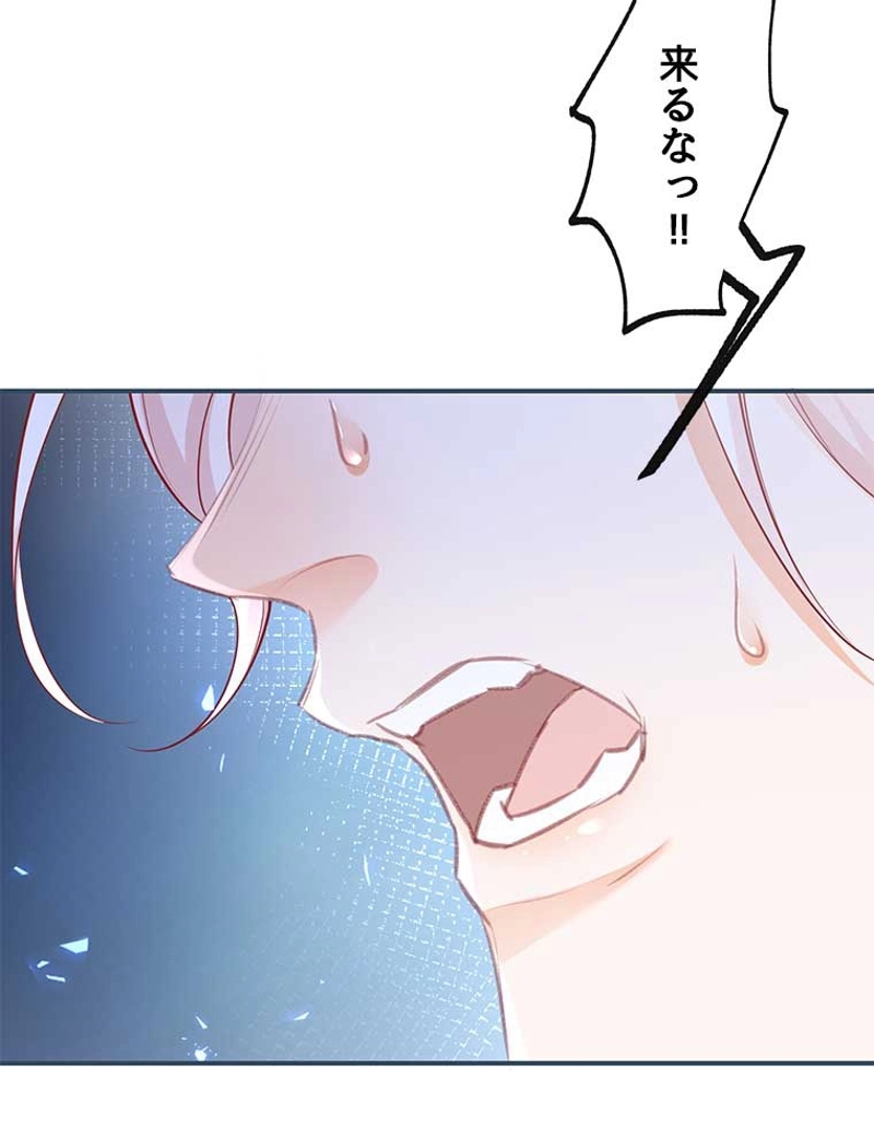 P63