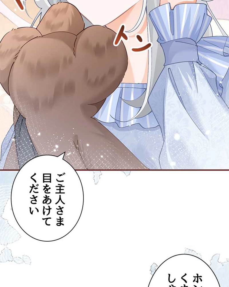P48
