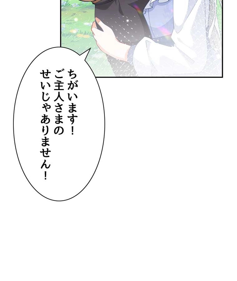 P66