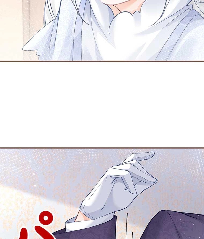 P53