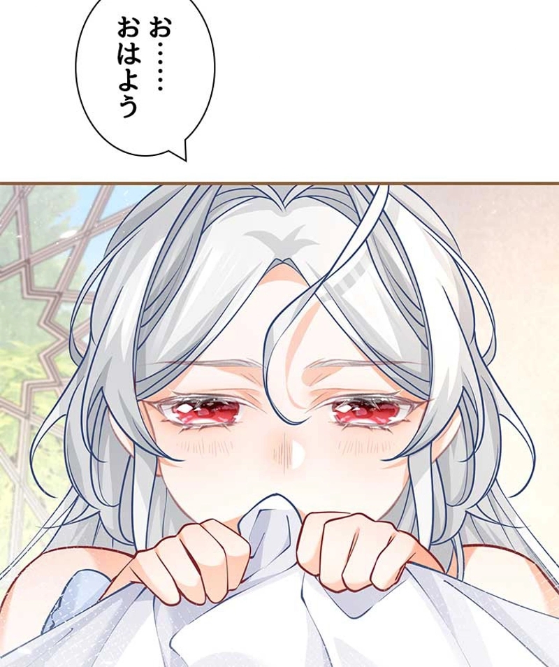 P66