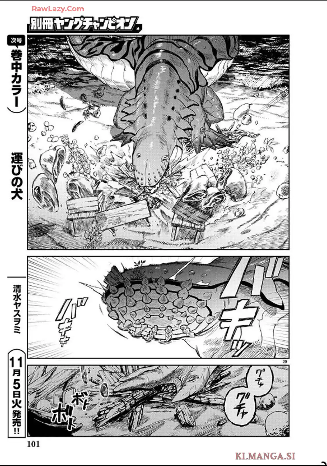 P29
