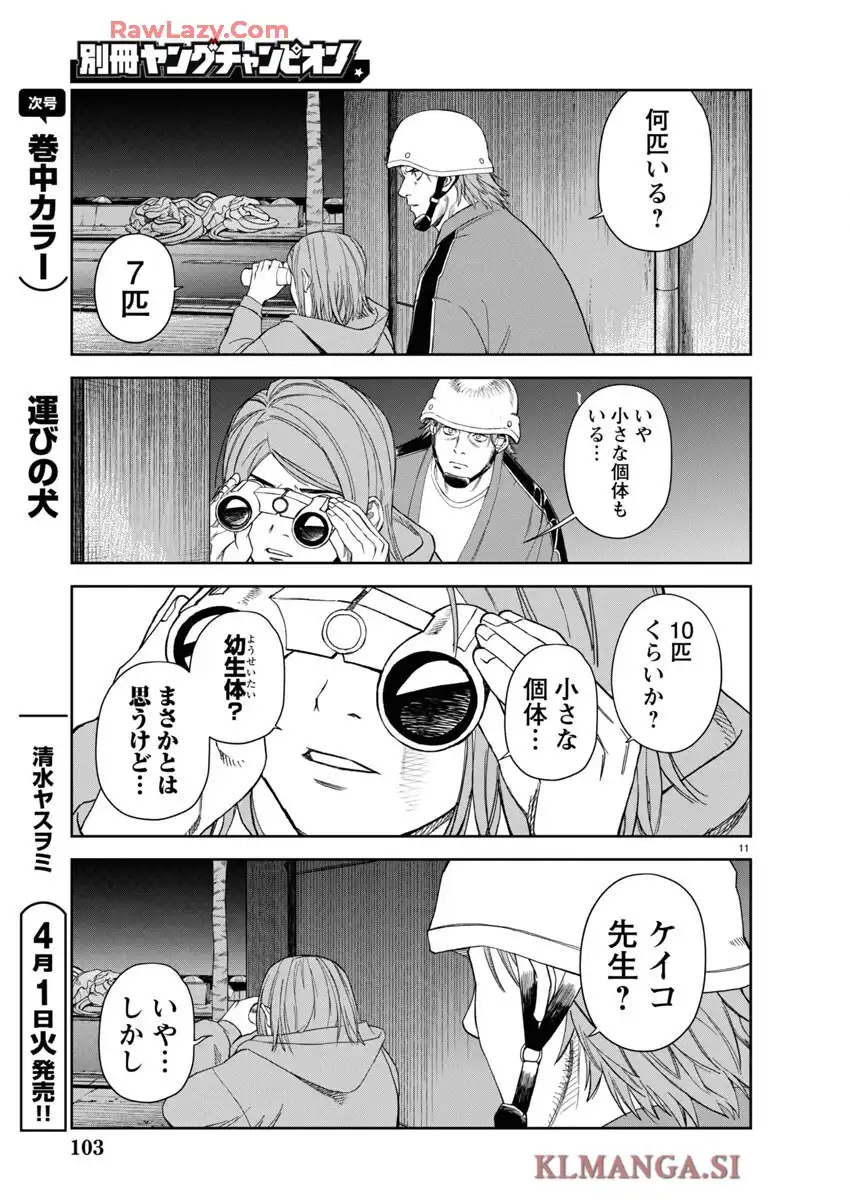 P11