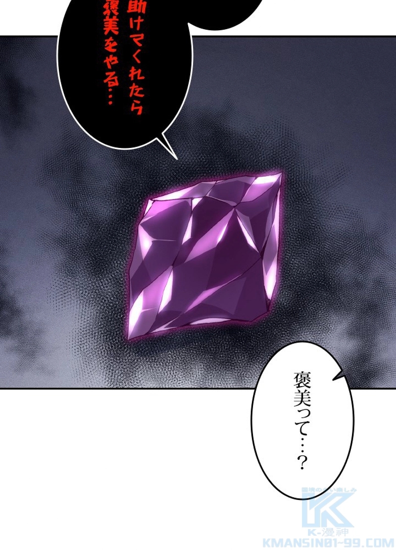P110