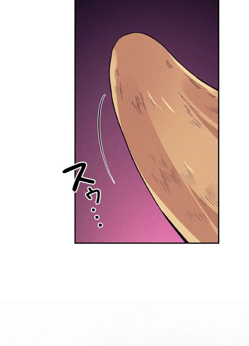 P74