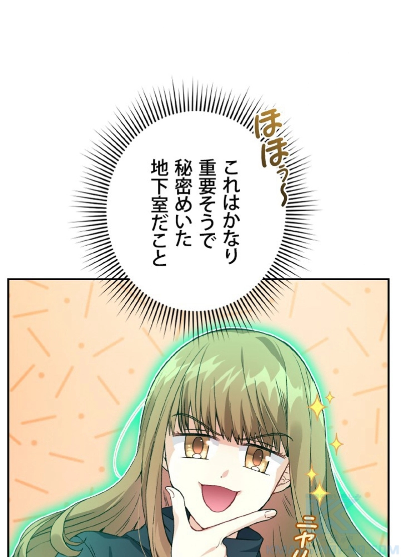 P63
