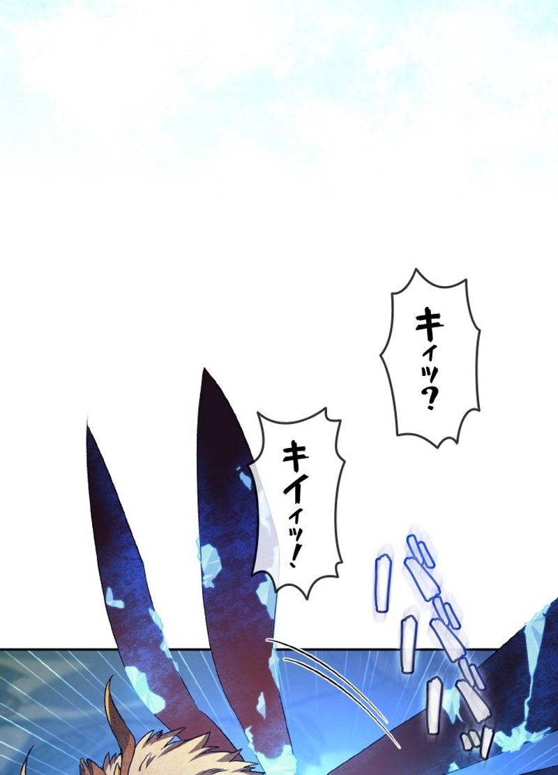 P48
