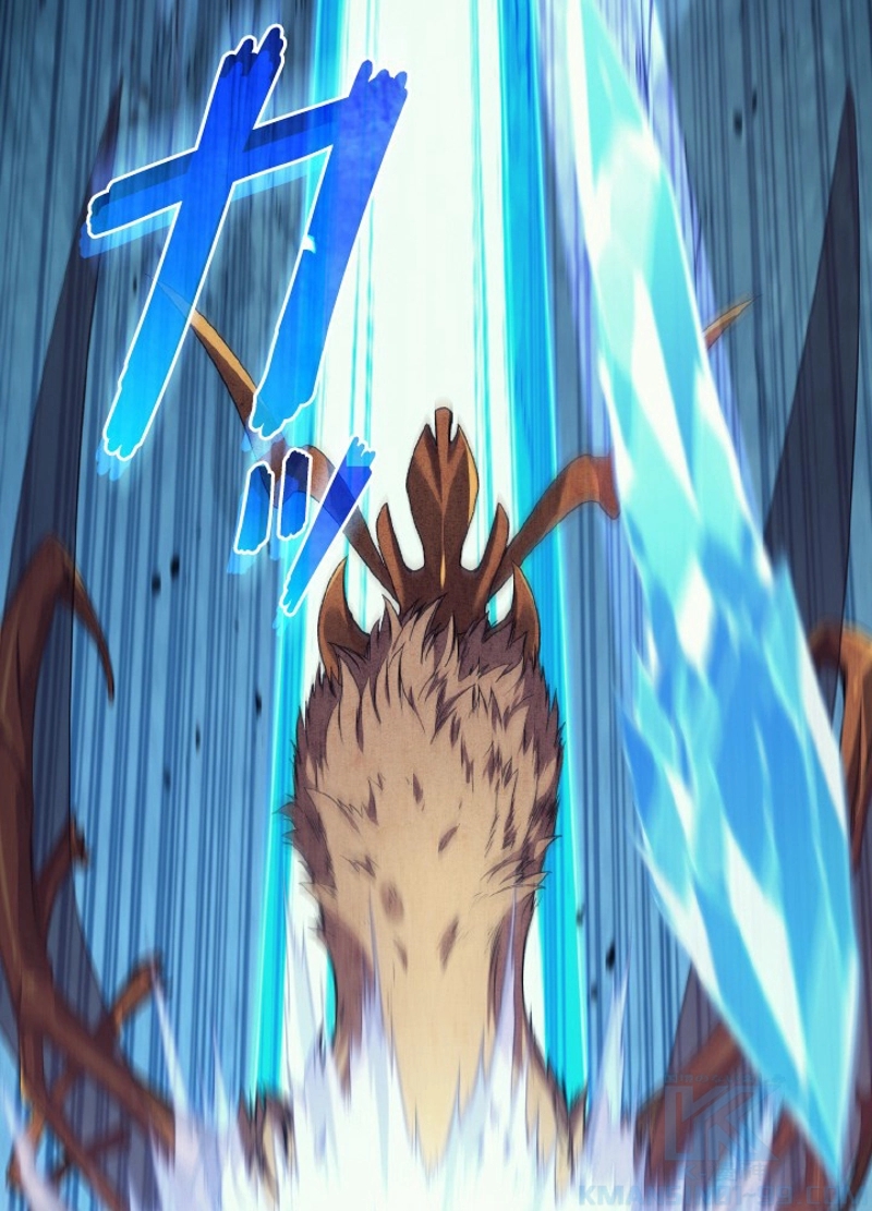 P58