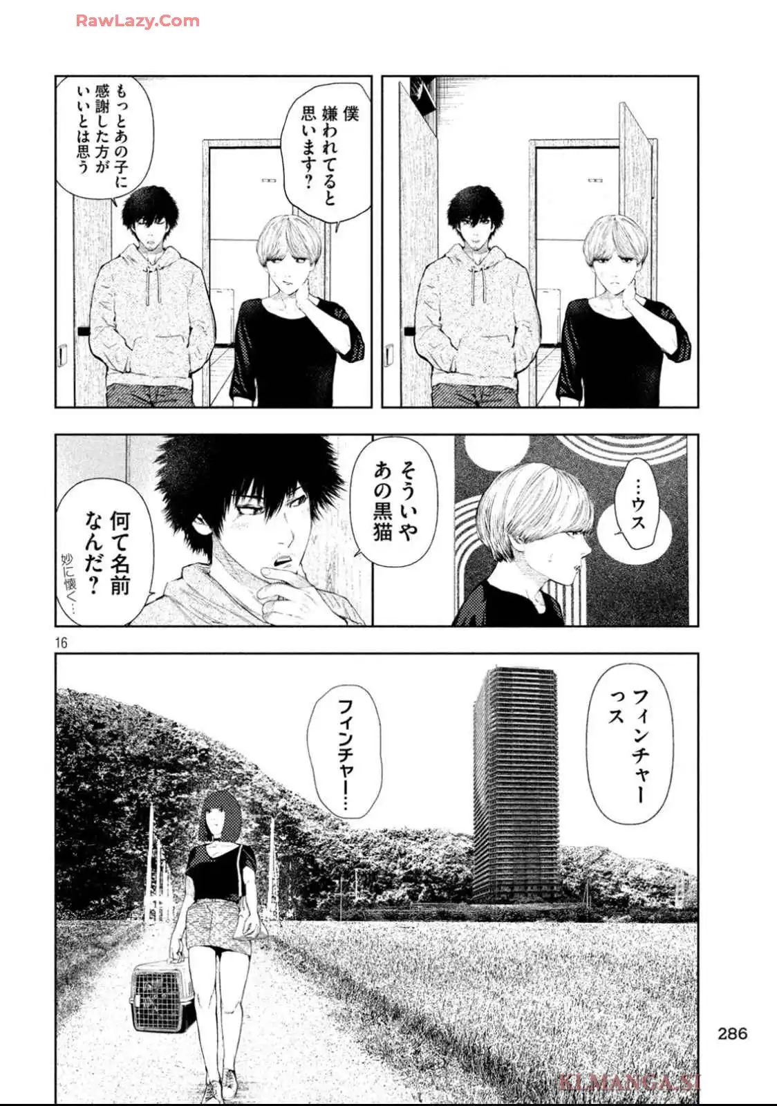 P16