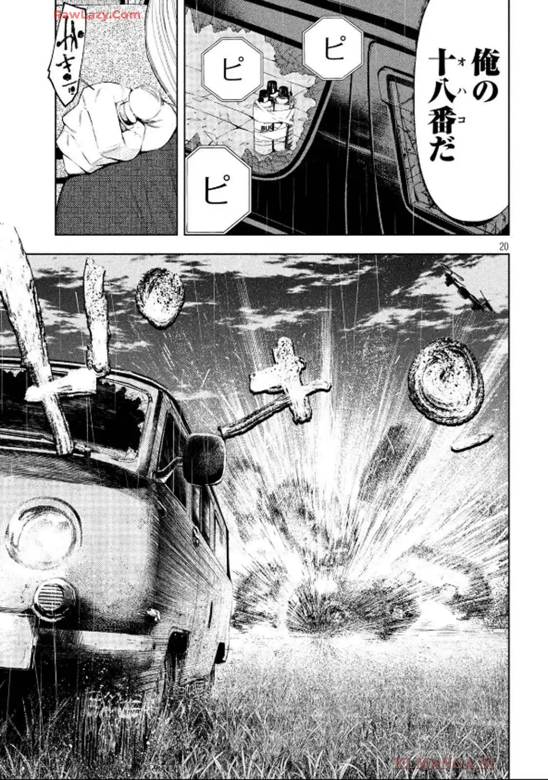 P20