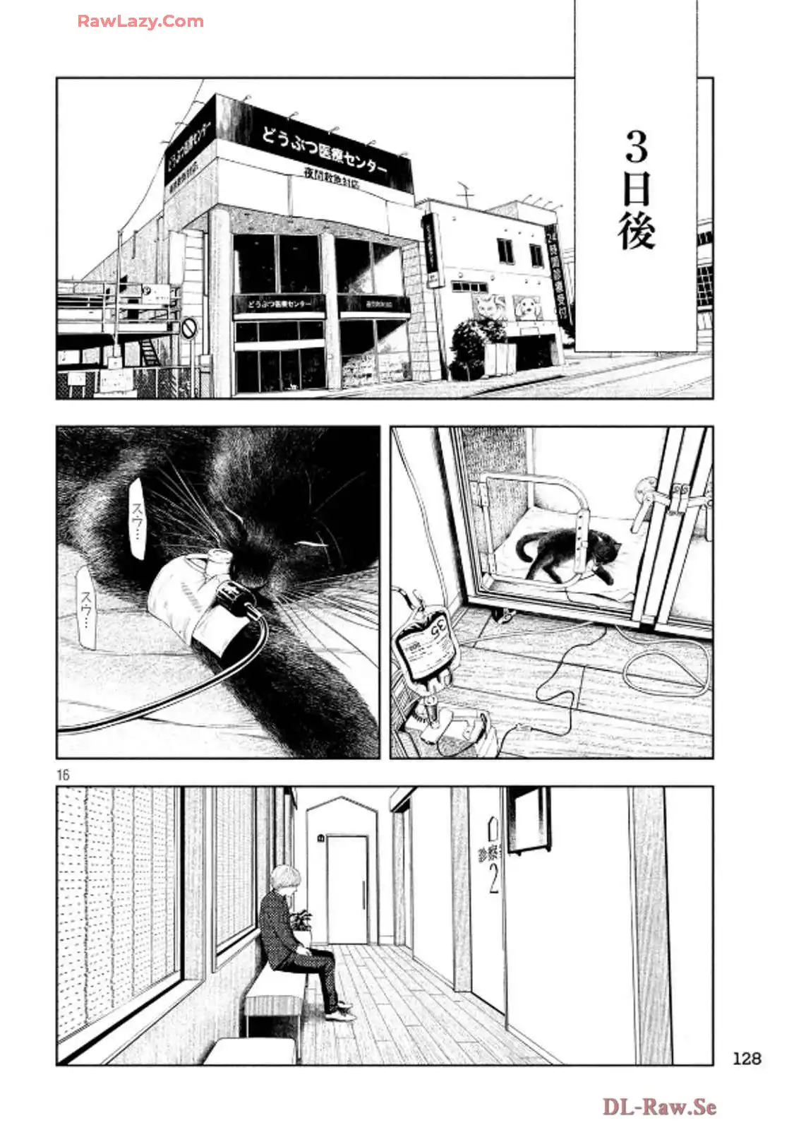P16
