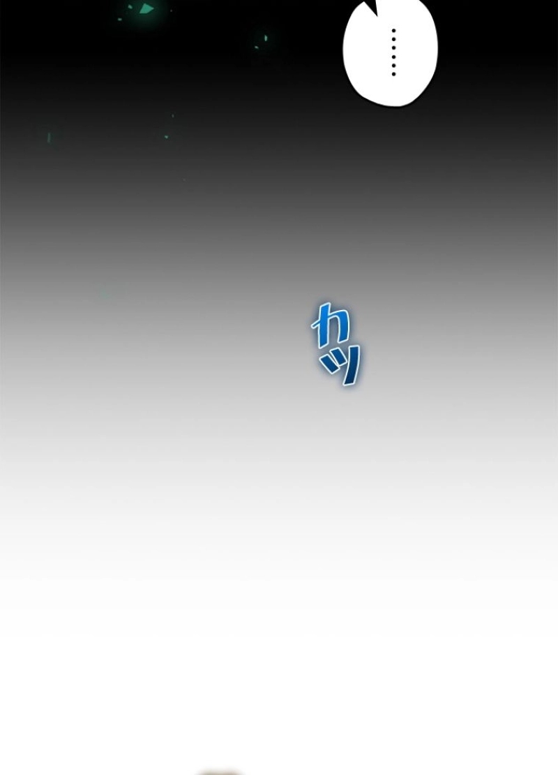 P141