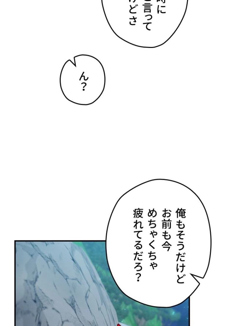 P66