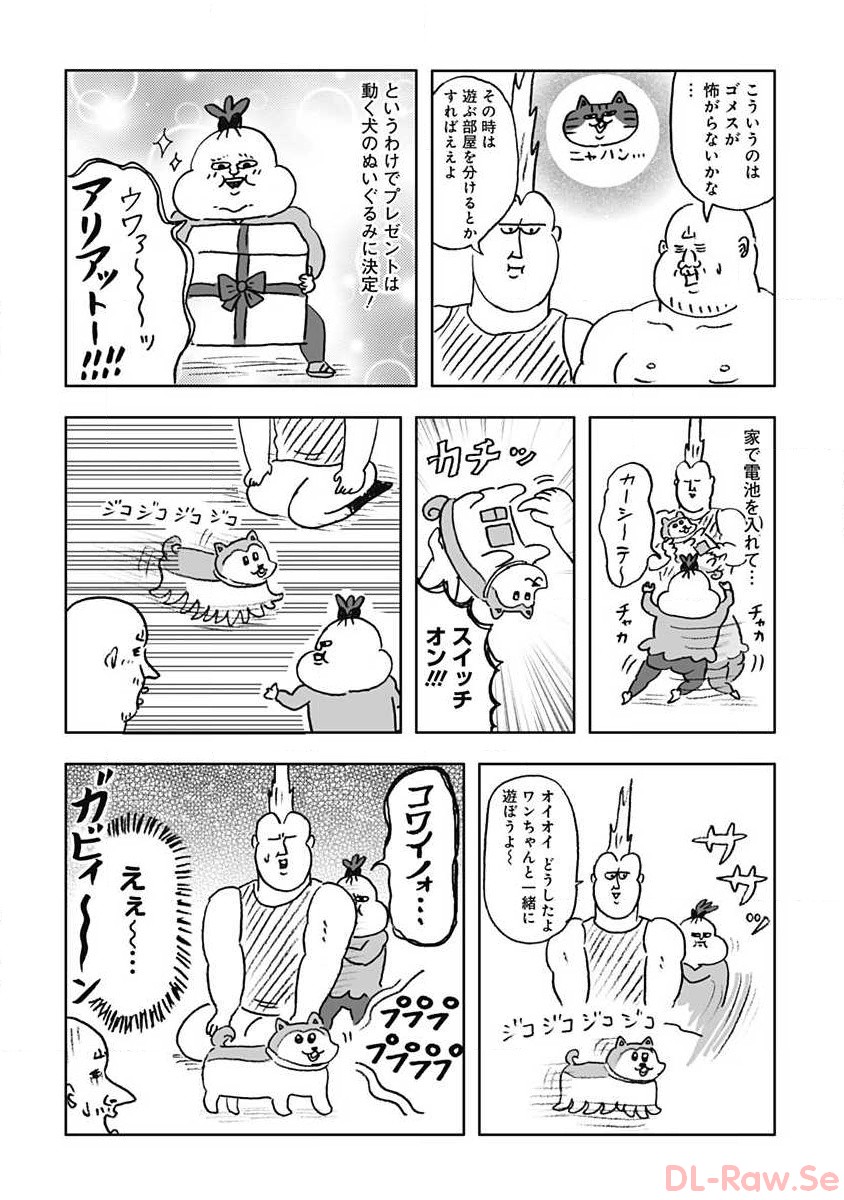 P66